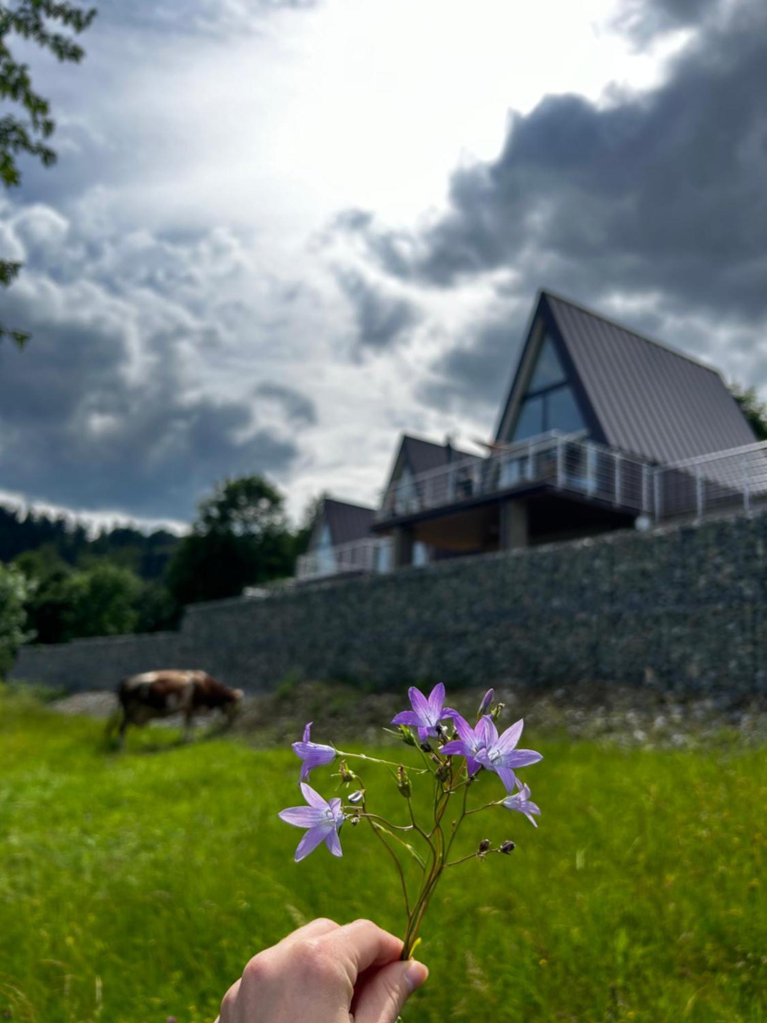 Villa Acko Oscadnica Exterior foto